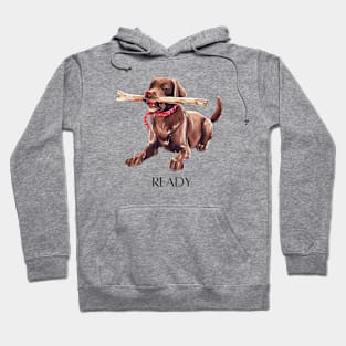 READY DOG Labrador With Stick Hoodie